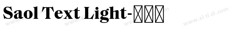 Saol Text Light字体转换